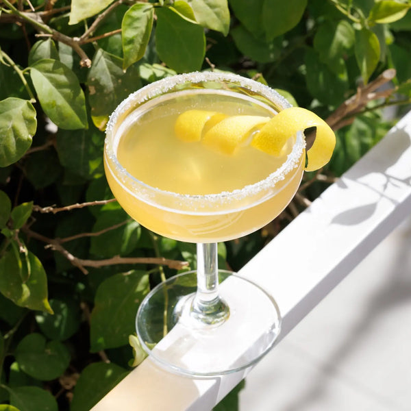 Champagne Glass - Simple Forms - Amprio Milano