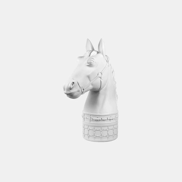 Magnum Horse Head – Optical – Amprio Milano
