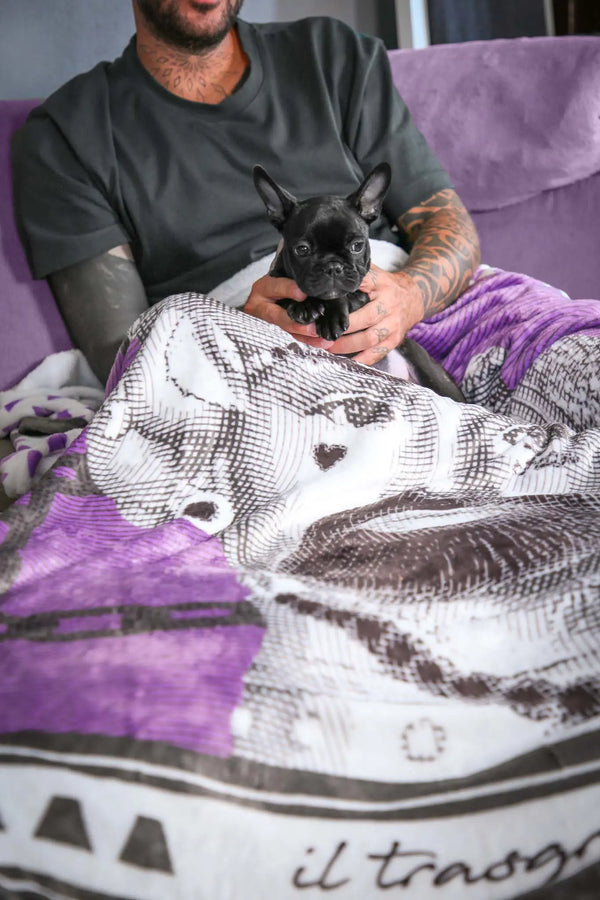 Plaid - Sagrada Familia - Amprio Milano