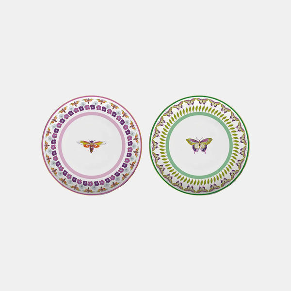 Dinner Plate – Amazzonia – Amprio Milano