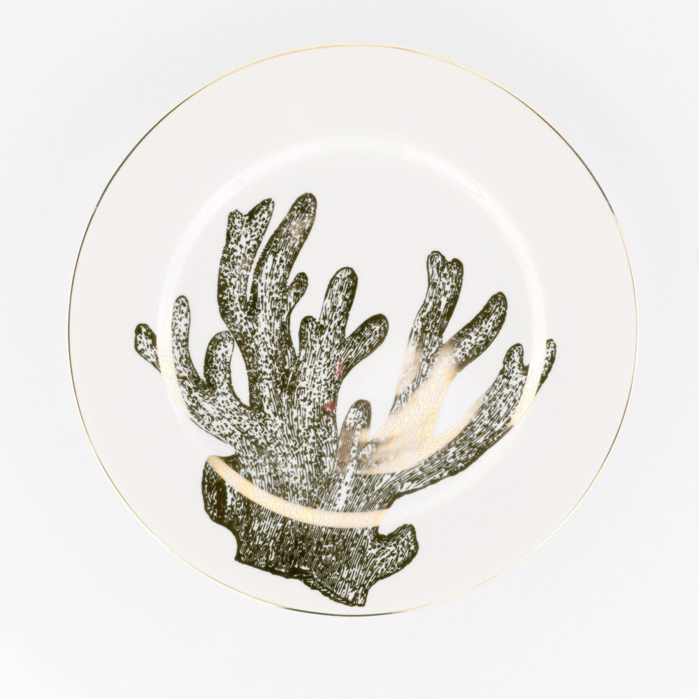 Dinner Plate Coral - Coral (700729370)