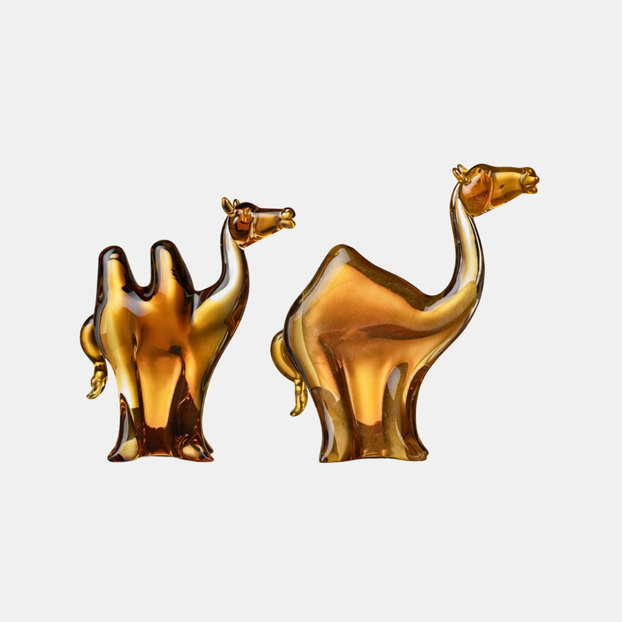 Camel – Earth Animals