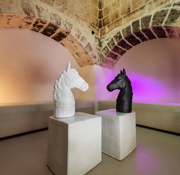 Magnum Horse Head – Optical – Amprio Milano