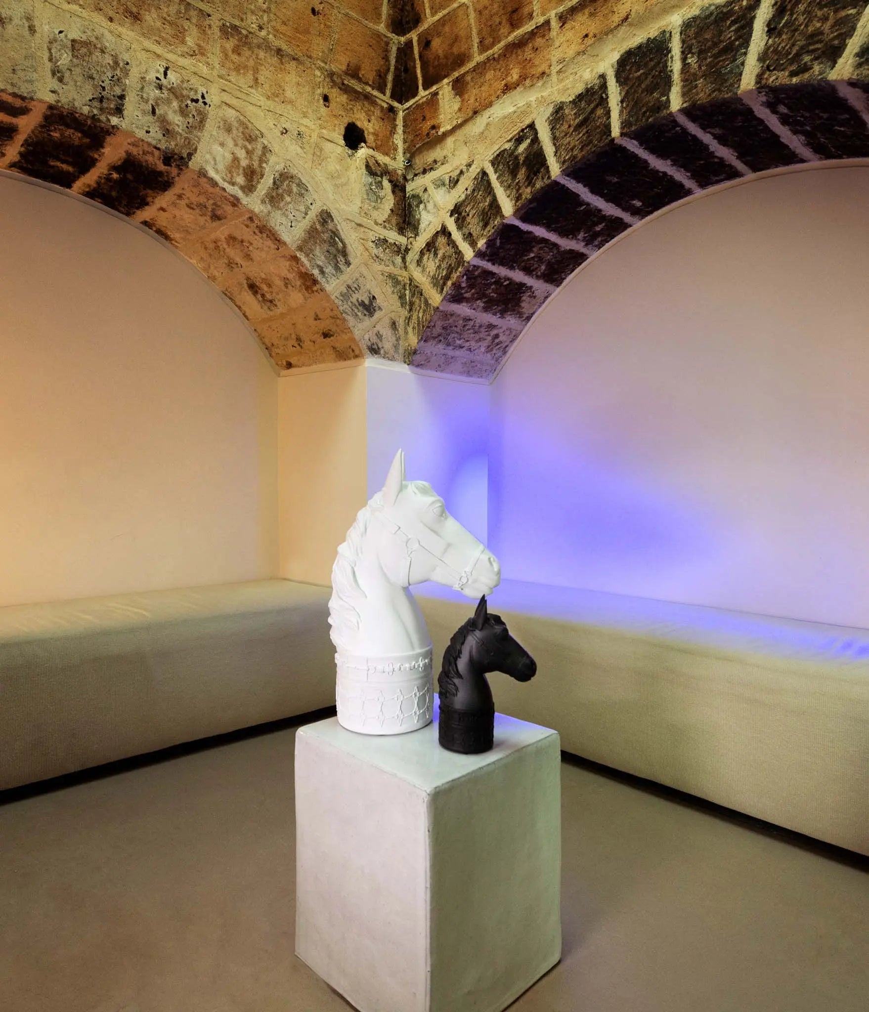 Maxi Horse Head – Optical – Amprio Milano