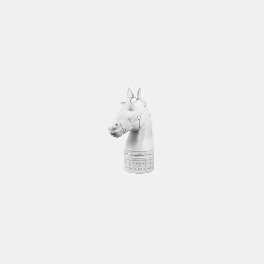Midi Horse Head – Optical Amprio Milano